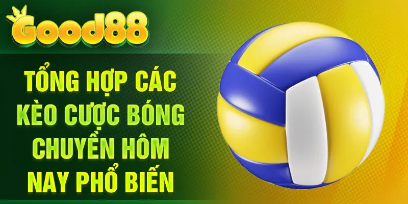 Tổng hợp các kèo cược bóng chuyền hôm nay phổ biến